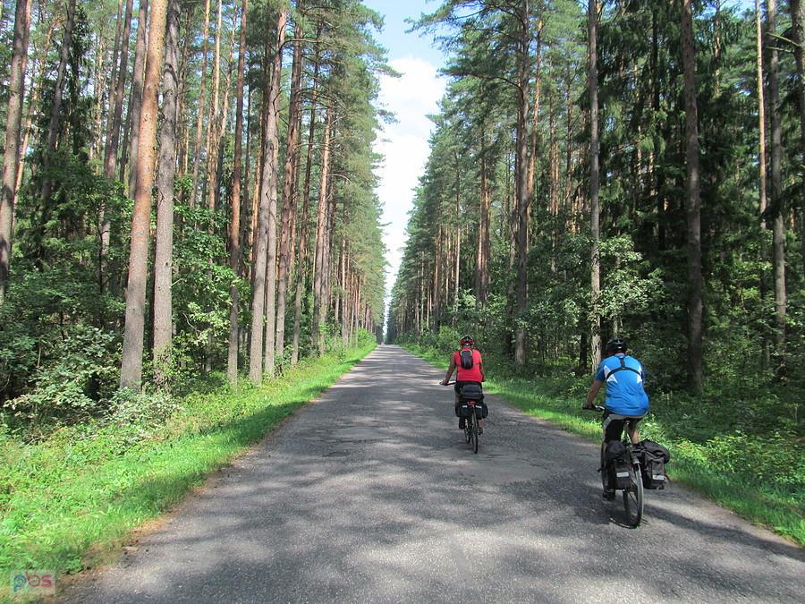 Na szlaku Green Velo