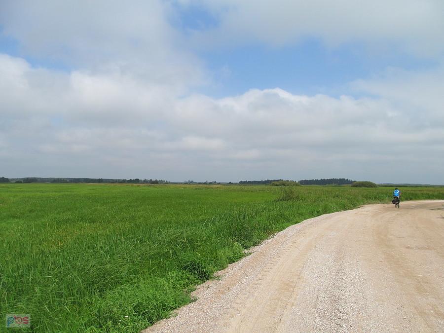 Na trasie Green Velo tuż przy Biebrzy