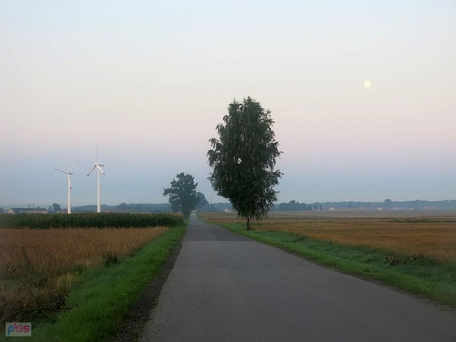Koło wiatraków