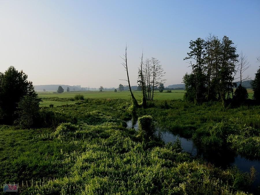 Nad Wolbórką