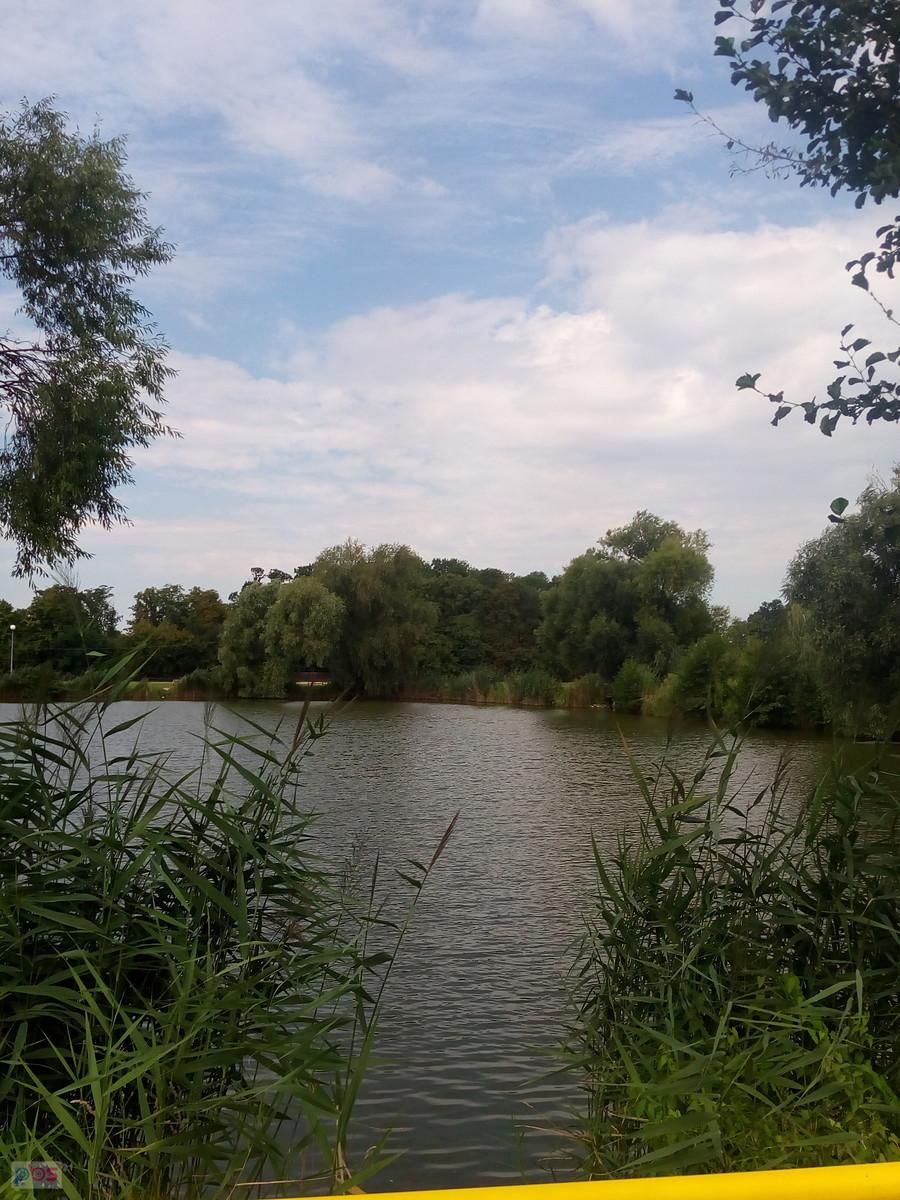 A dalej staw