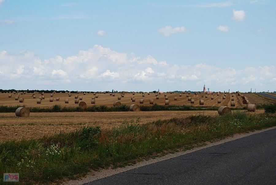 Widok na Wschowę