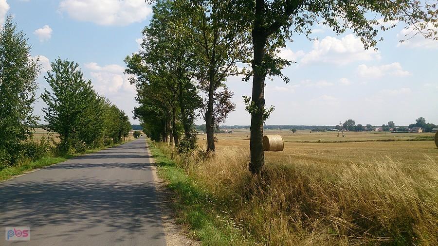 Asfalt w kierunki Niedrzwicy