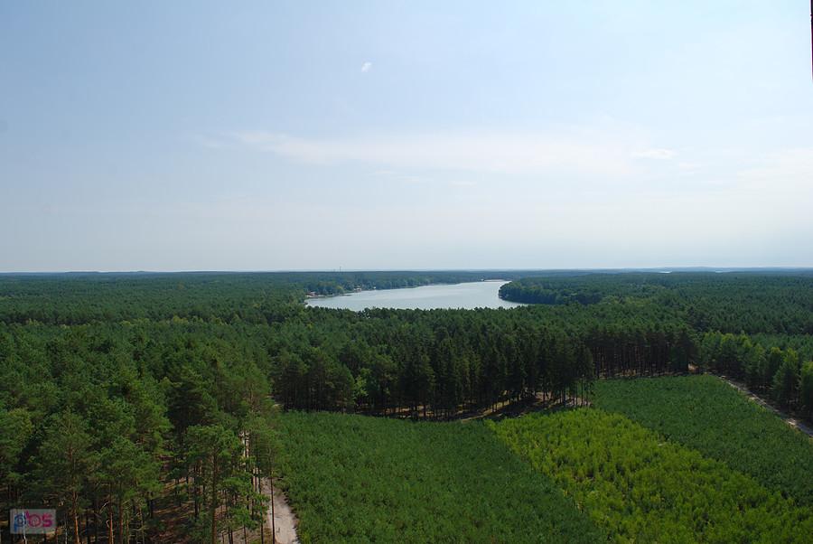 Widok z wieży widokowej