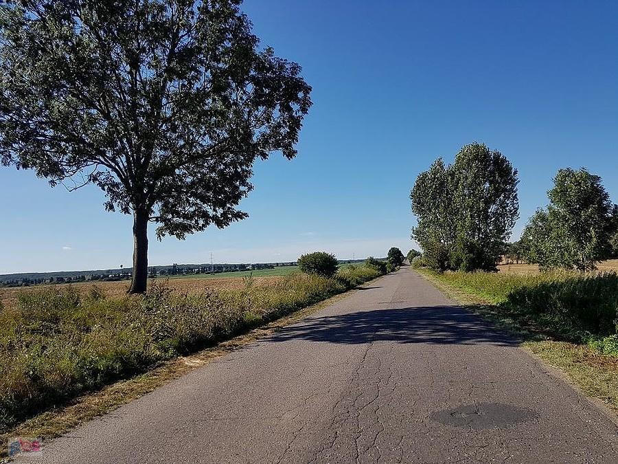 Droga Dębina - Kołbacz