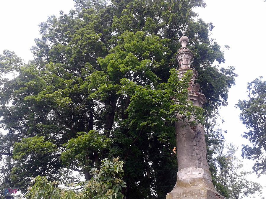 Minaret - całego nie mogłem zmieścić