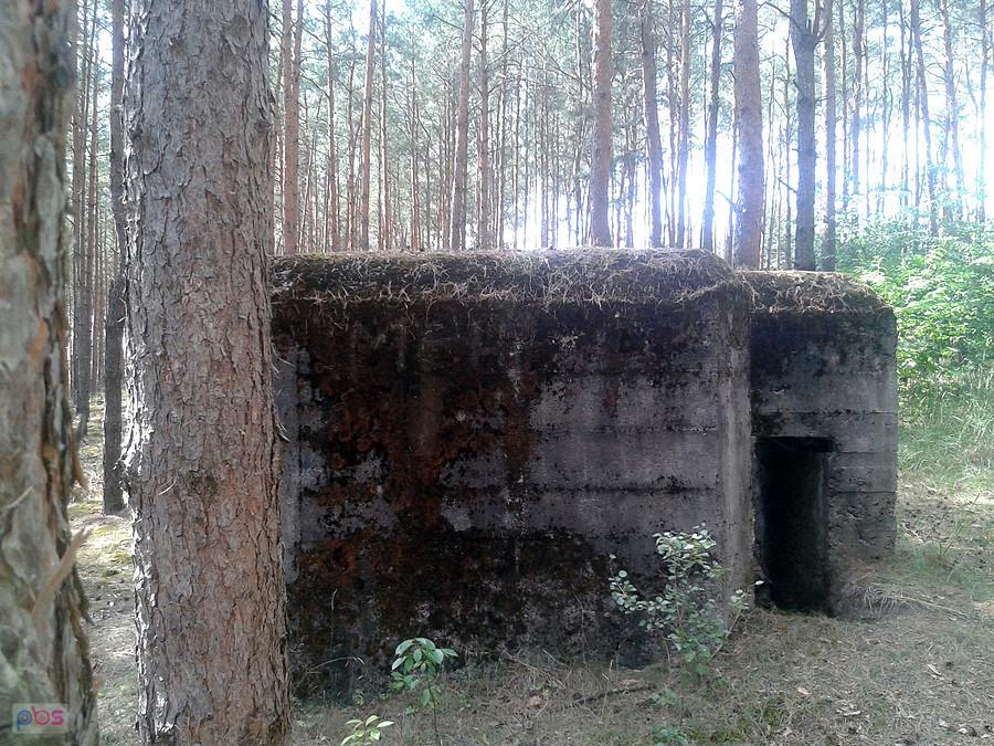 Jest i pierwszy, numeracja własna licząc od pierwszego odkrytego