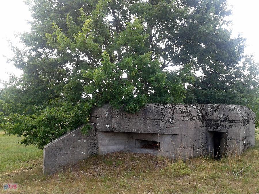 Nr pięć, pod słupem linii energetycznej