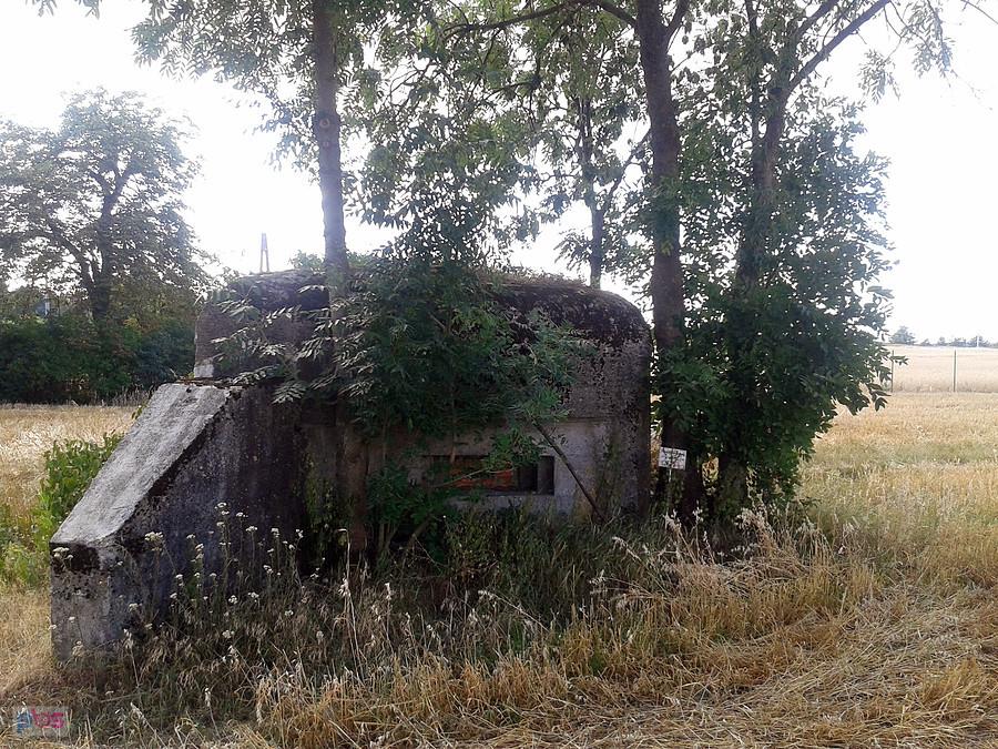 Dobrze widoczny z ulicy nr 8, Tarnowa