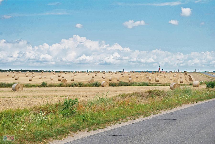 Widoczek przed Wschową