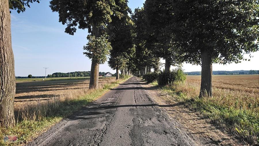 Pomorskie drogi, pod spodem bruk, na wierzchu asfalt