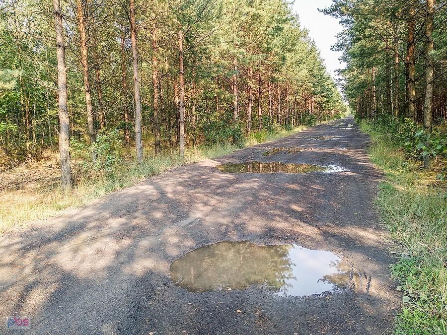 Na starej hałdzie w Makoszowach