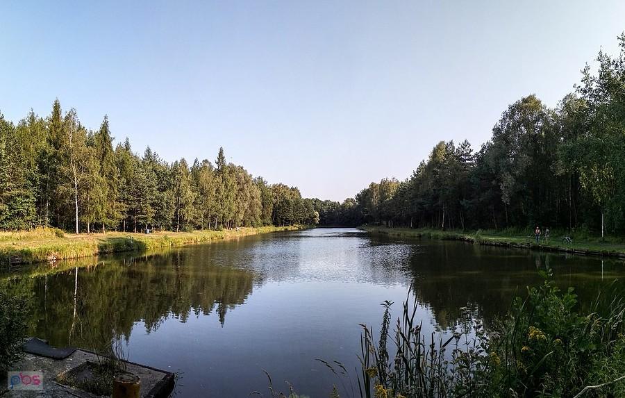 Staw Kiszka