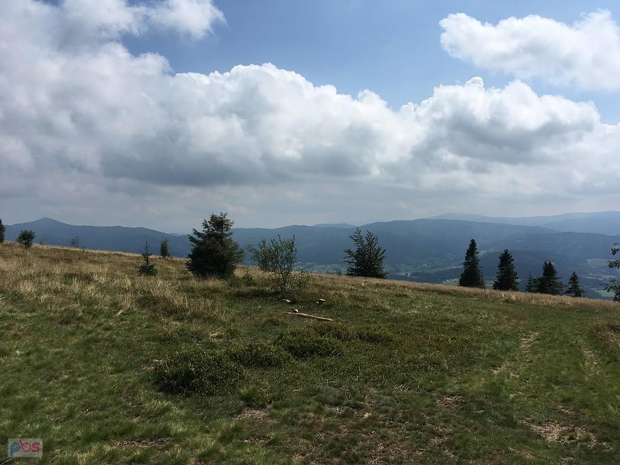Na Ćwilinie