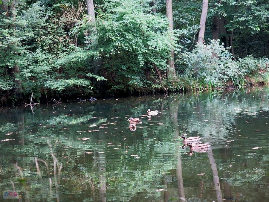 Niebieskie Źródła