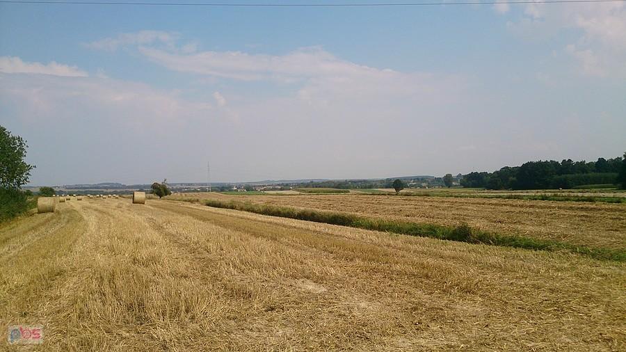 Widoki na skoszone pola