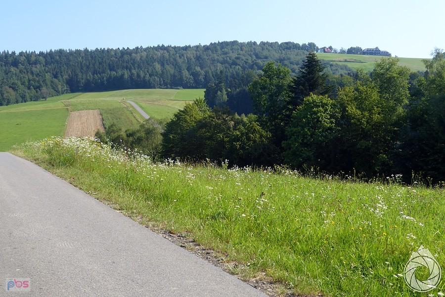 rzut oka na stromą ściankę w Bezmiechowej