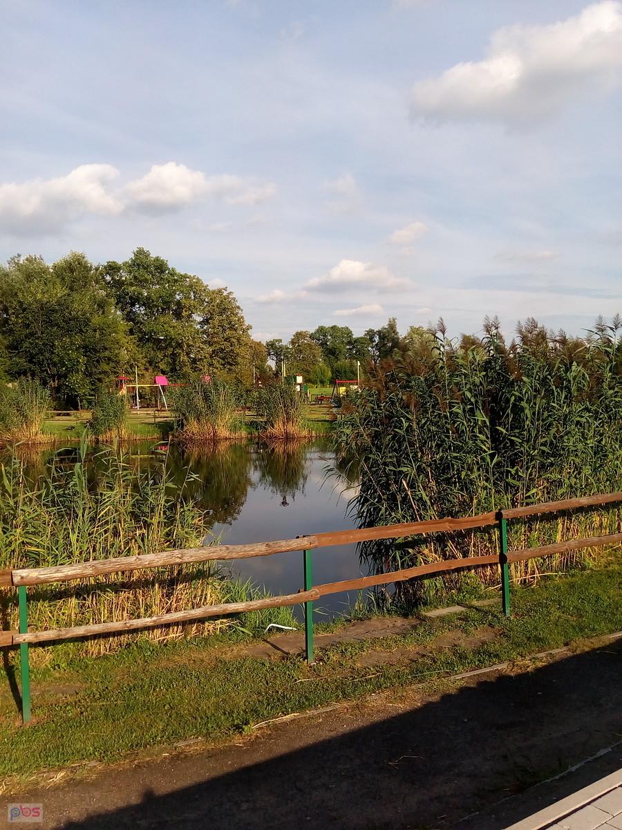 Staw w Borzęcinie