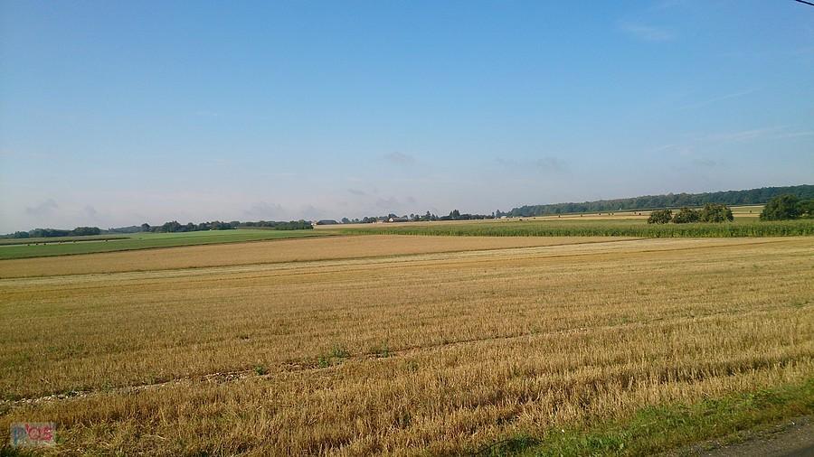 Pola w okolicach Obroków