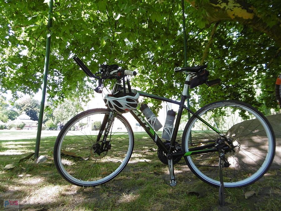 Giant Roam 2