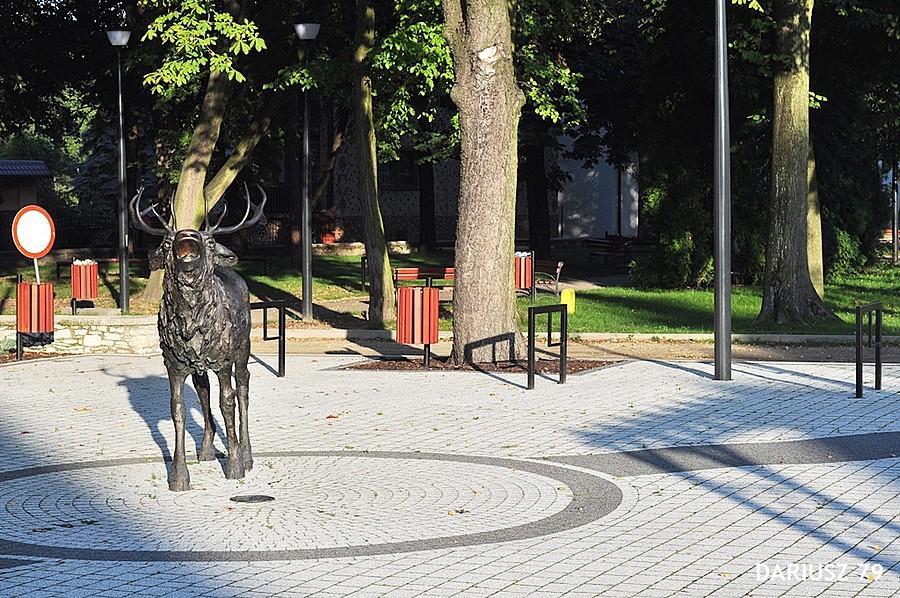 Rynek w Jeleniu