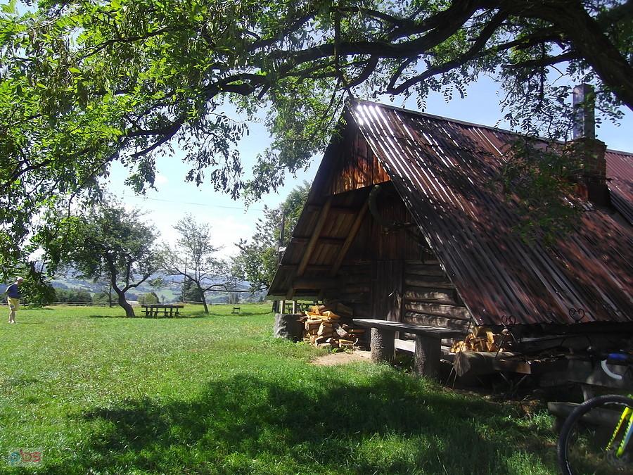 Stecówka