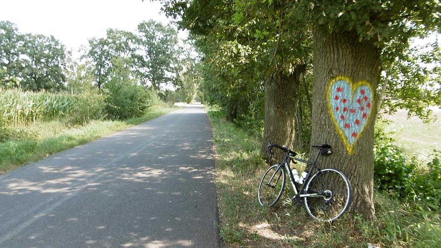 A tutaj ktoś, podobnie jak ja kocha koszulkę w grochy :)