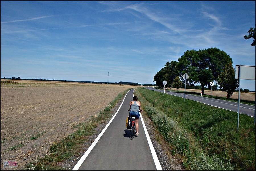 Droga rowerowa w kierunku Lubszy