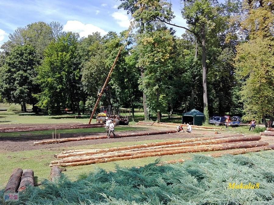Mistrzostwa Polski Drwali Koszęcin 2018