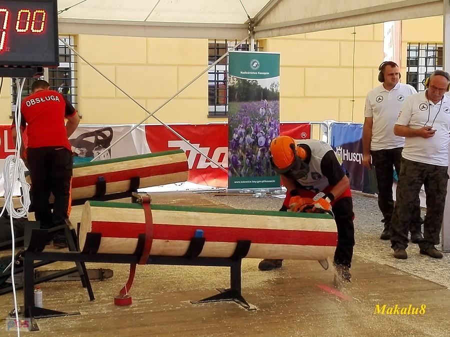 Mistrzostwa Polski Drwali Koszęcin 2018