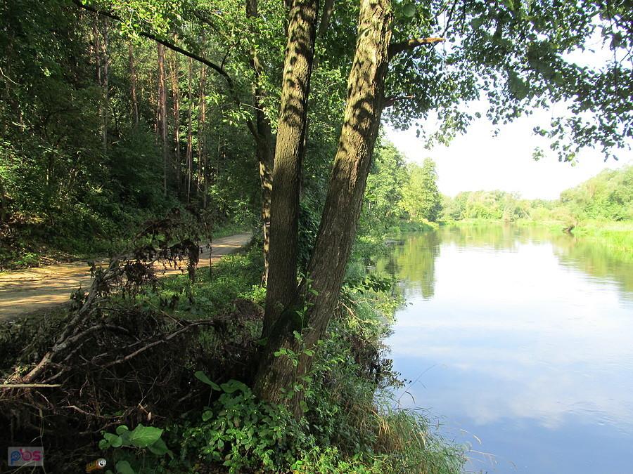 Warta i czerwony szlak