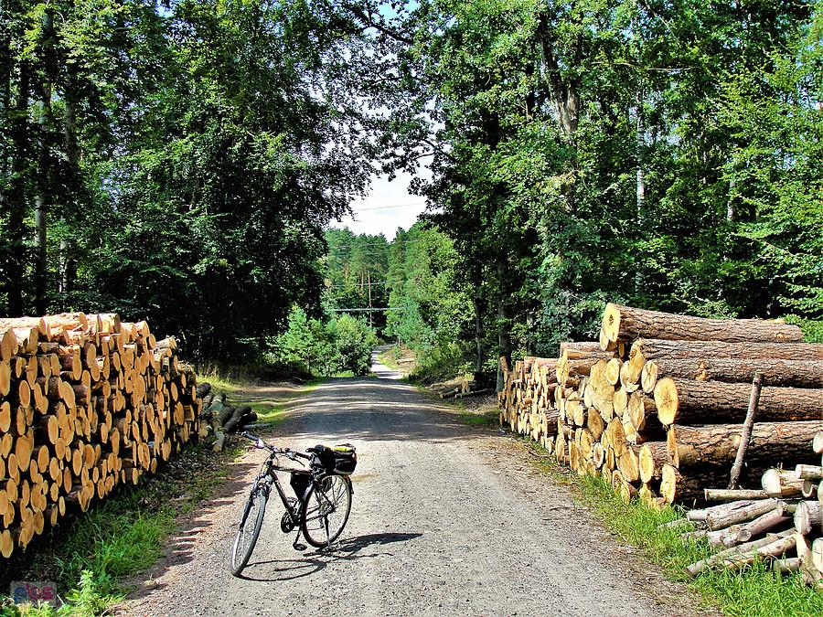 Na rowerze - po okolicy Tczewa.