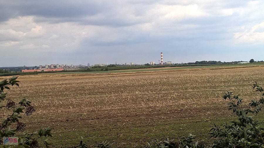 Na horyzoncie Szczecin - widok z drogi Przecław - Kurów. Zdjęcie smartfonem.