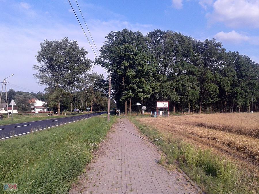 Urwany przewód ciągnie się za kombajnem