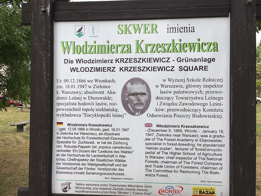 trochę informacji...