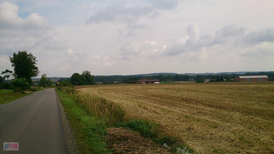 Pola w Woli Gałęzowskiej