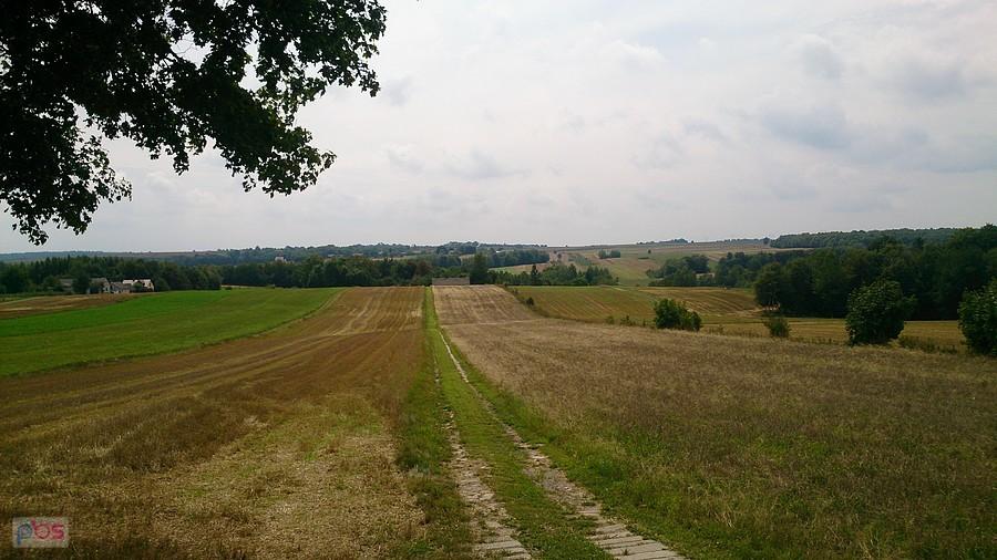 Pola w okolicach Zakrzówka