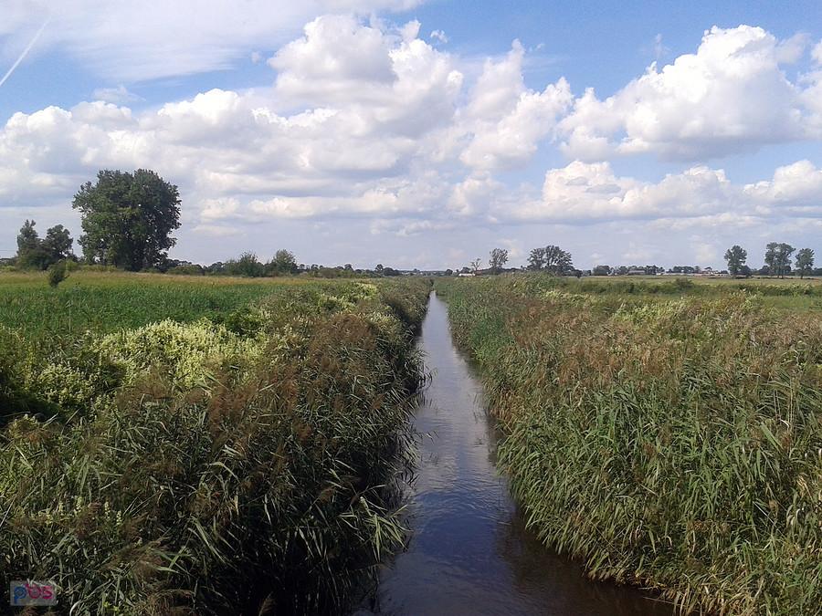 Bzura, widok w kierunku północnym