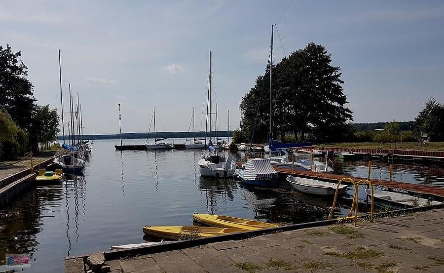 Jezioro Miedwie w Zieleniewie