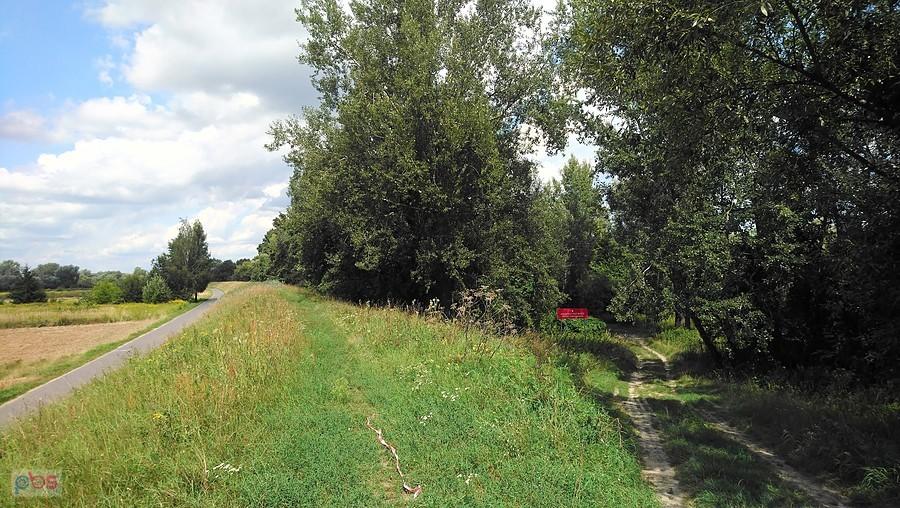 Rezerwat Przyrody Wyspy Świderskie