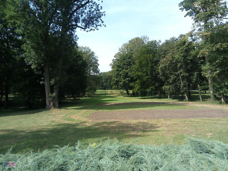 widok na staw