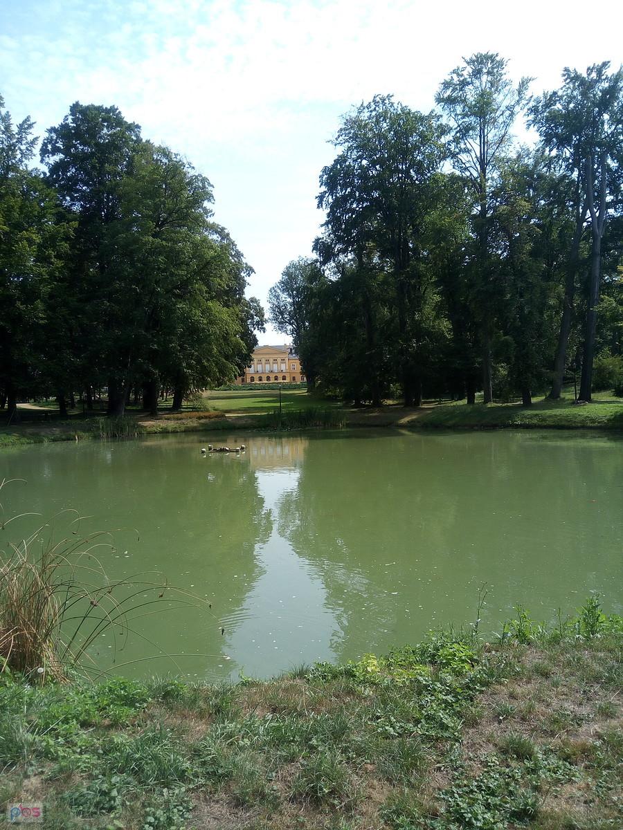 widok na pałac