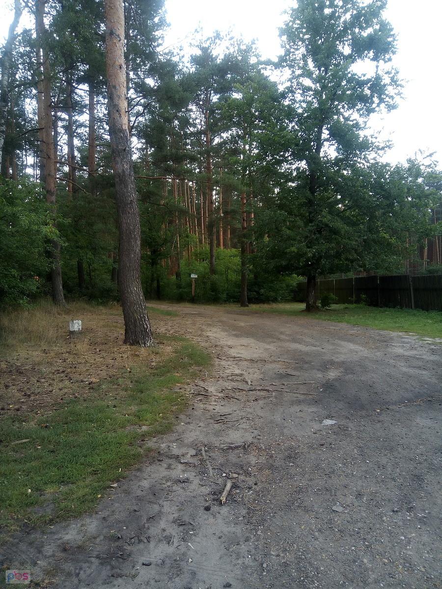 a teraz tędy pojadę