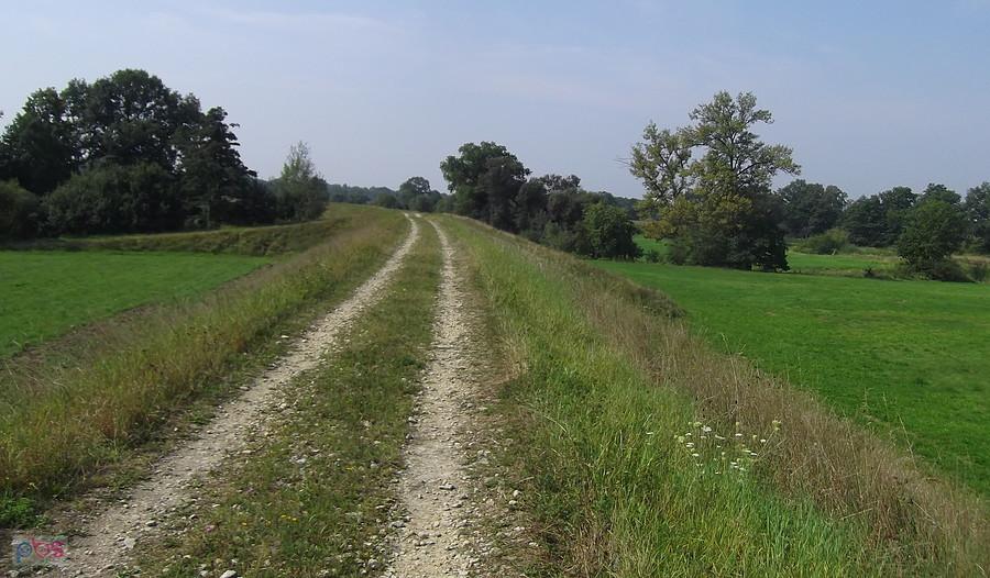 Na razie droga możliwa, pózniej zmienia się w ścieżkę pełną pokrzyw i wjeżdżam w lasek