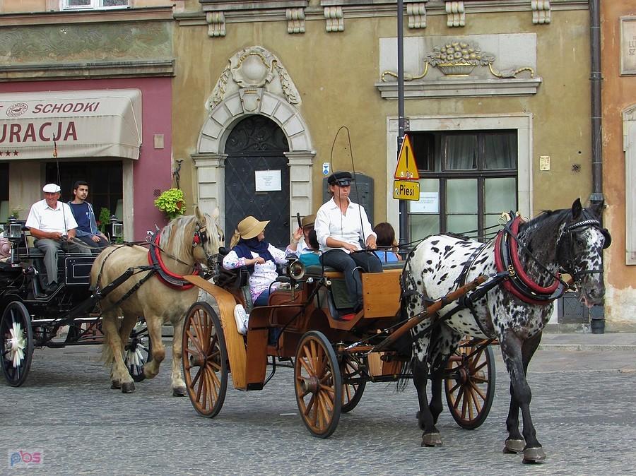 Bryczką powozi pani stangret