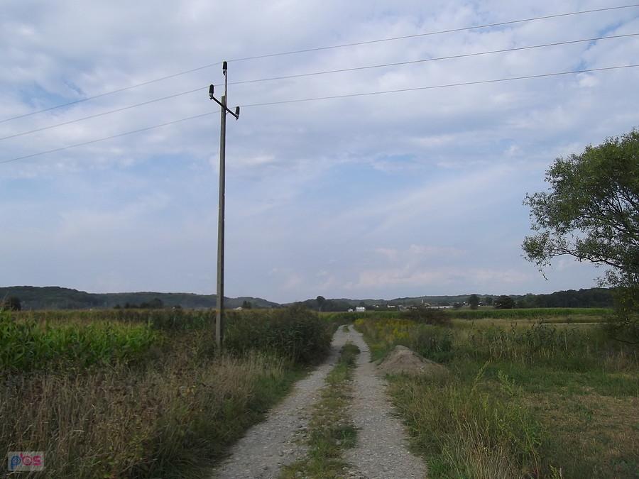 Z Olzy do Czyżowic jadę polnymi drogami