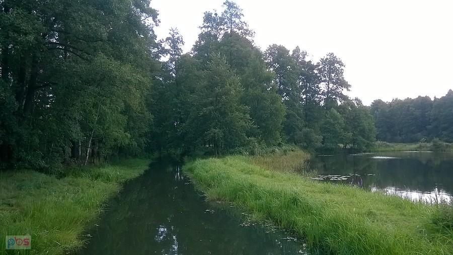 Otoczenie młyna, który początkowo był młynem wodnym
