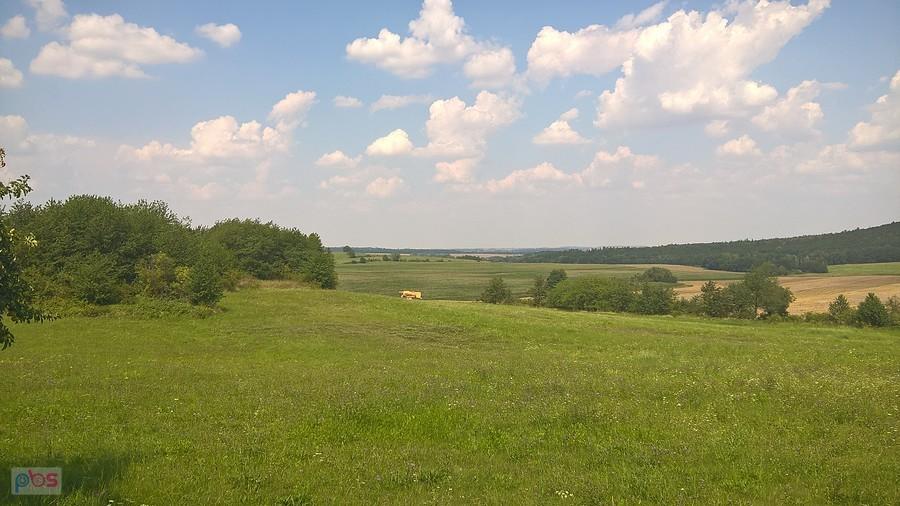 końcówka żniw