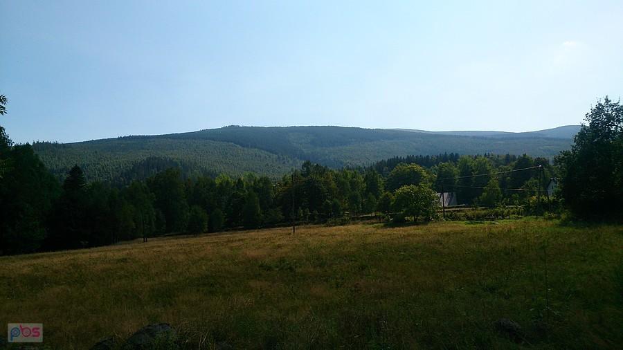 Lesiste góry