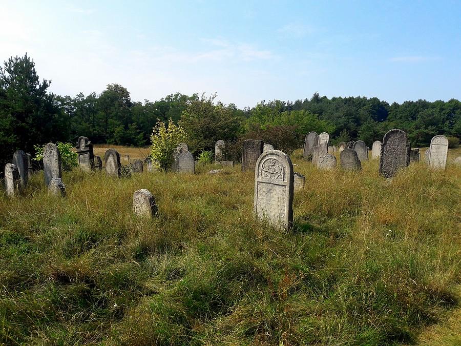 Kirkut w Żarkach IV.